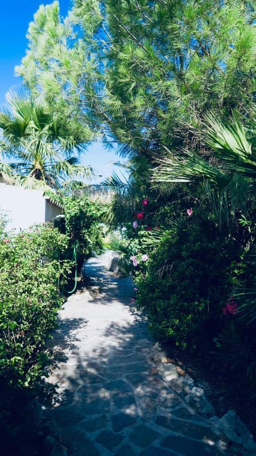 Cortijo Paraiso Charcon Higuera Extérieur photo