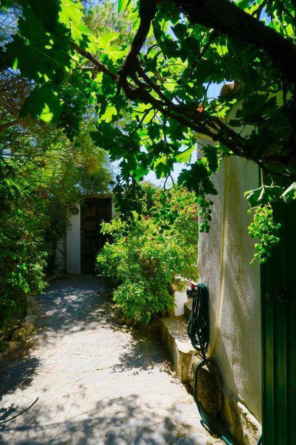 Cortijo Paraiso Charcon Higuera Extérieur photo