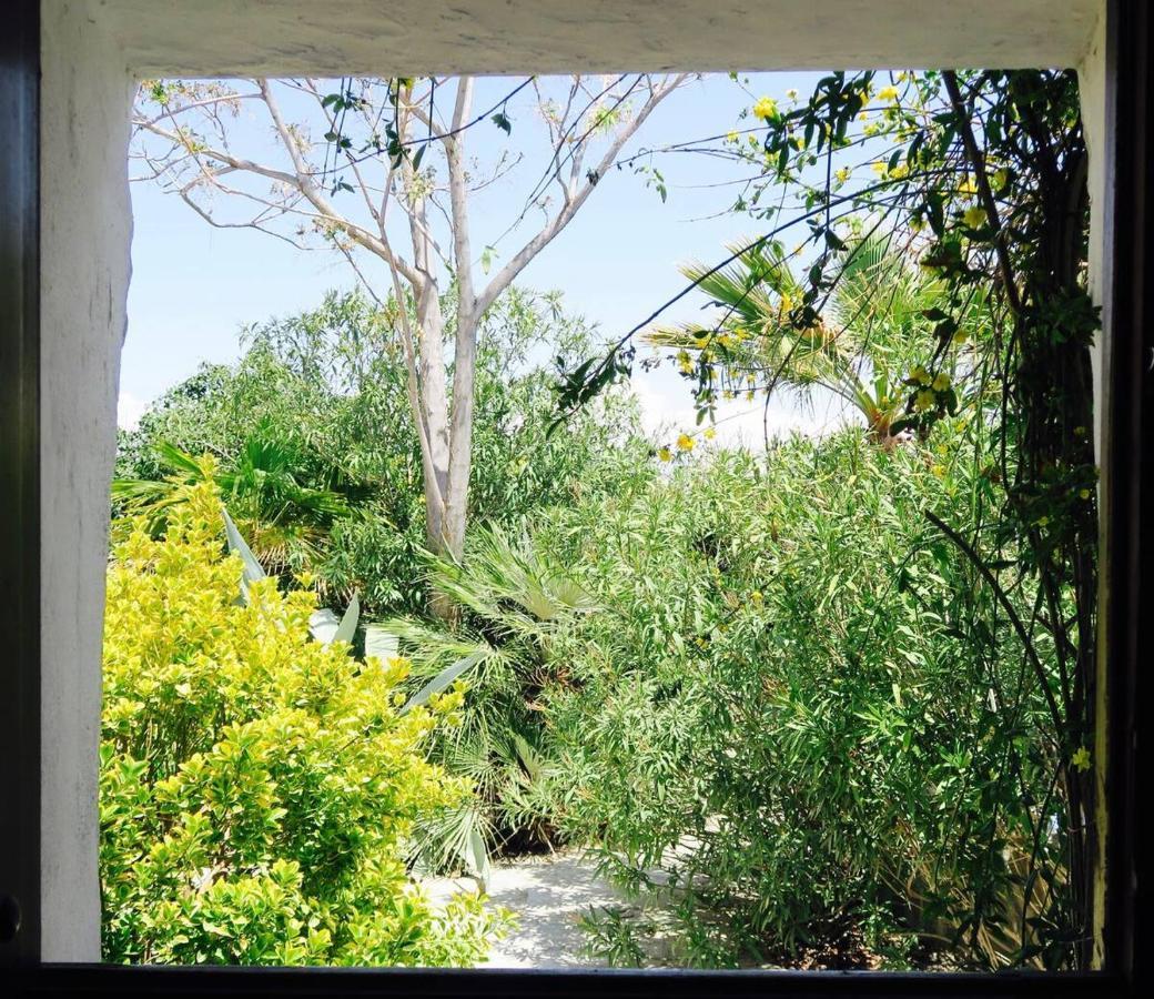 Cortijo Paraiso Charcon Higuera Extérieur photo